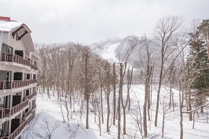 Imagen de la habitación del Hotel Hakuba Tokyu. Foto 15