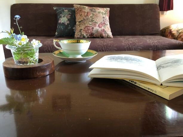 Imagen general del Hotel Hakuba Vivaldi. Foto 3