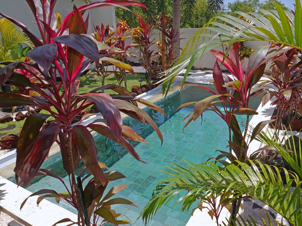 Imagen de la piscina del Hotel Hakuna Matata Bali Villas. Foto 20