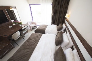 Imagen de la habitación del Hotel Halic Park Dikili. Foto 6