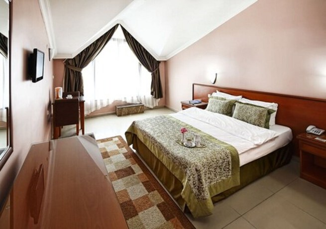Imagen de la habitación del Hotel Halic Park. Foto 2