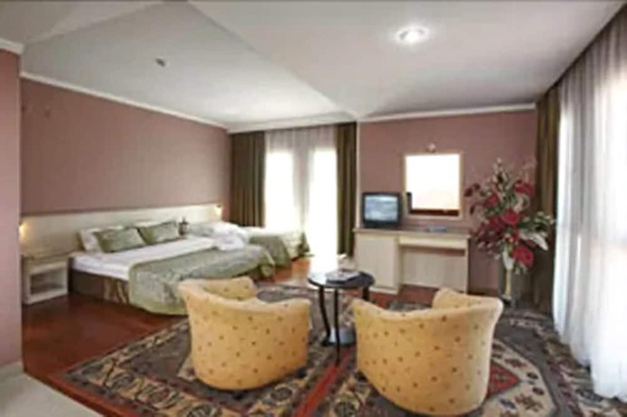 Imagen de la habitación del Hotel Halic Park. Foto 4