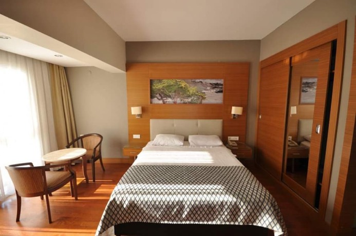 Imagen de la habitación del Hotel Halic Park. Foto 6