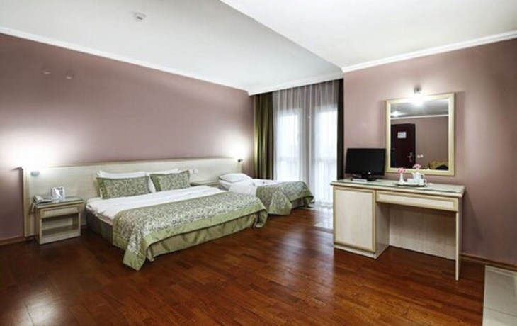 Imagen de la habitación del Hotel Halic Park. Foto 8