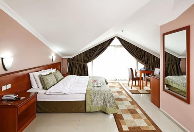 Imagen de la habitación del Hotel Halic Park. Foto 9