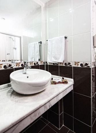 Imagen de la habitación del Hotel Halic Park. Foto 13