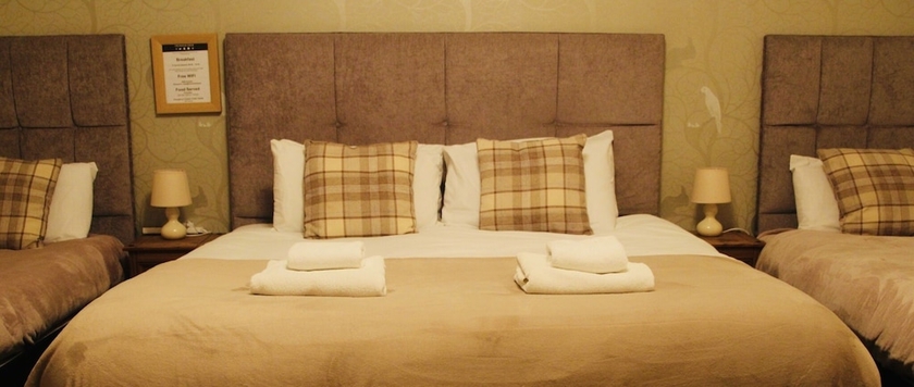 Imagen de la habitación del Hotel Ham And Cheese. Foto 8