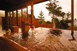 Imagen general del Hotel Hamachidori No Yu Kaisyu. Foto 5