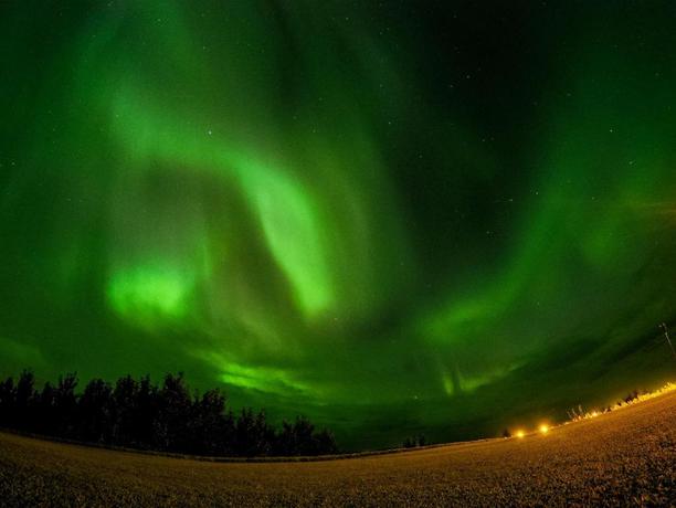 Imagen general del Hotel Hamar. Foto 2