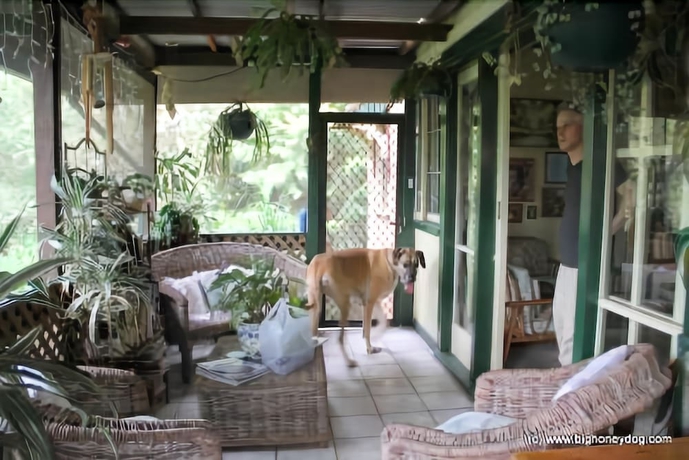 Imagen de la habitación del Hotel Hamilton Heritage B&B. Foto 17