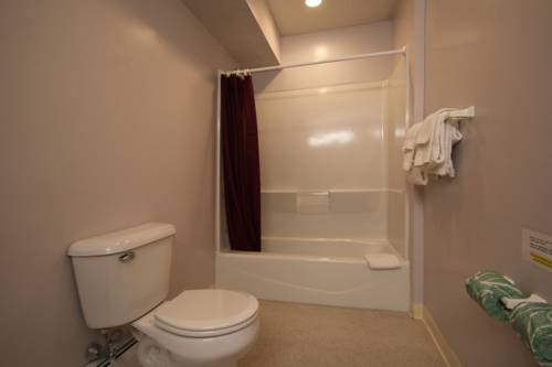 Imagen de la habitación del Hotel Hamilton Village Inn. Foto 5