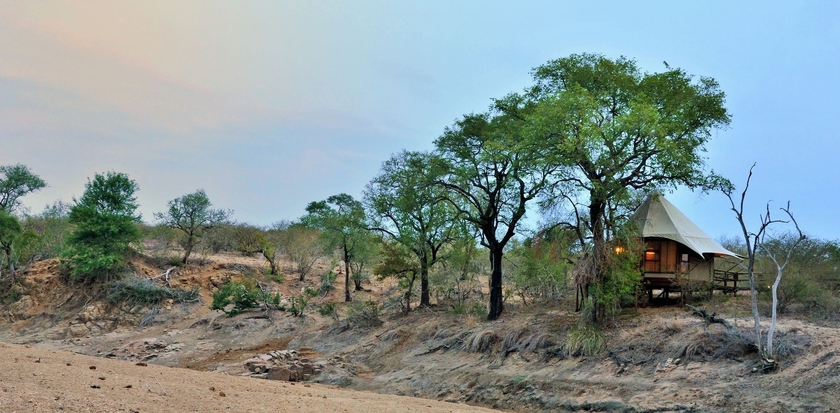 Imagen de los exteriores del Hotel Hamiltons Tented Camp. Foto 12