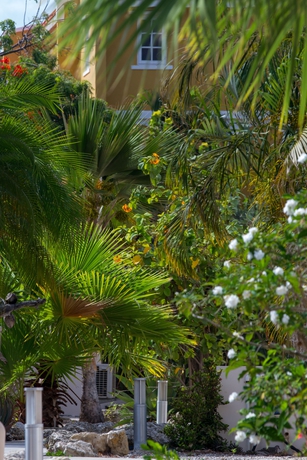 Imagen de los exteriores del Hotel Hamlet Oasis Resort. Foto 7