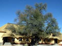 Imagen de los exteriores del Hotel Hammerstein Lodge. Foto 3