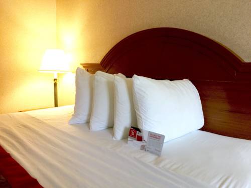 Imagen de la habitación del Hotel Hammock Philadelphia Levittown. Foto 5