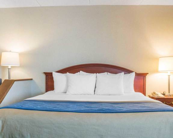 Imagen de la habitación del Hotel Hammock Rochester Niagara Falls. Foto 14