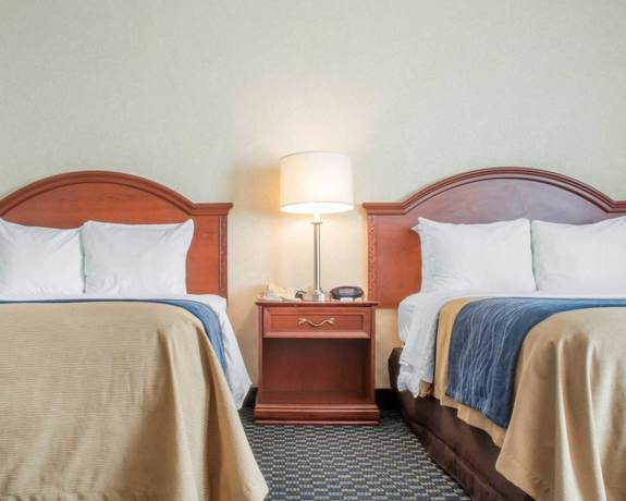 Imagen de la habitación del Hotel Hammock Rochester Niagara Falls. Foto 17
