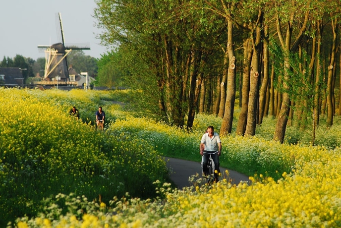 Imagen general del Hotel Hampshire Delft Centre. Foto 2