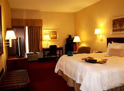 Imagen general del Hotel Hampton Inn Abingdon. Foto 5
