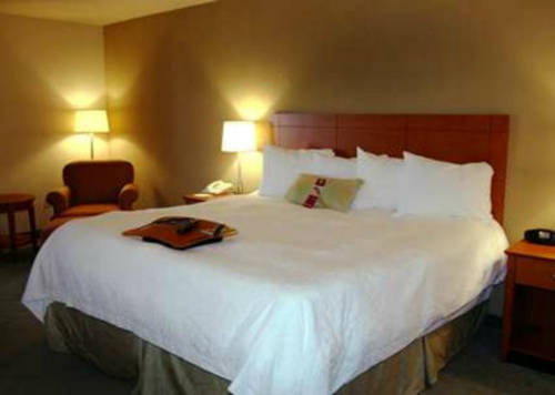 Imagen de la habitación del Hotel Hampton Inn Alamogordo. Foto 2