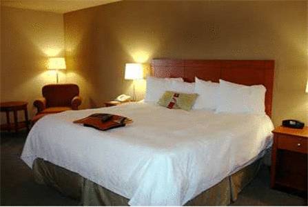 Imagen de la habitación del Hotel Hampton Inn Alamogordo. Foto 3