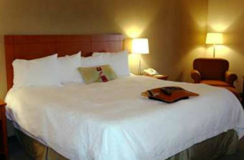 Imagen de la habitación del Hotel Hampton Inn Alamogordo. Foto 5