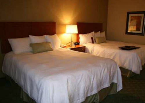 Imagen de la habitación del Hotel Hampton Inn Alamogordo. Foto 6