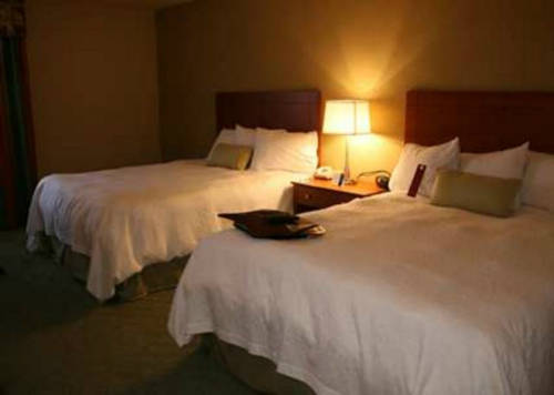 Imagen de la habitación del Hotel Hampton Inn Alamogordo. Foto 7