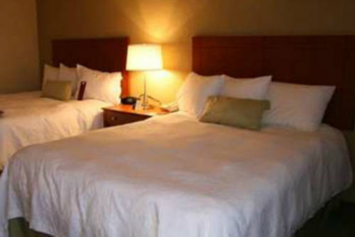 Imagen de la habitación del Hotel Hampton Inn Alamogordo. Foto 8