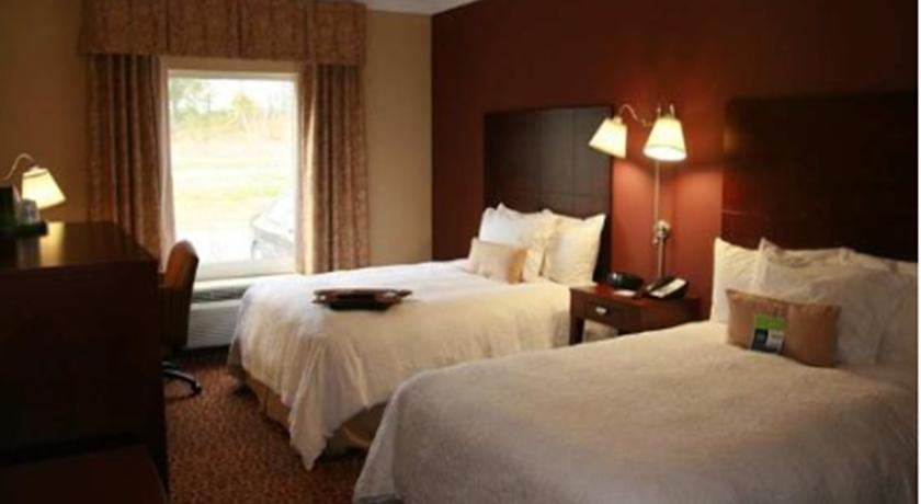 Imagen general del Hotel Hampton Inn Alexander City. Foto 2