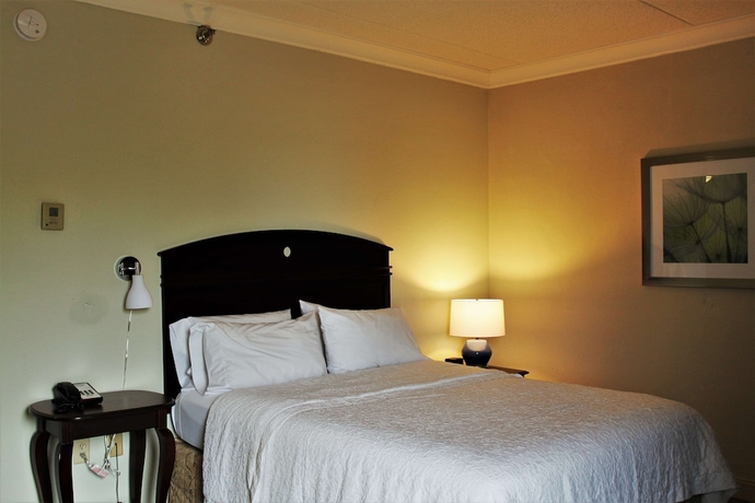 Imagen de la habitación del Hotel Hampton Inn Americus. Foto 11