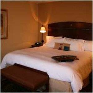Imagen de la habitación del Hotel Hampton Inn And Suites Alexandria, Alexandria. Foto 10
