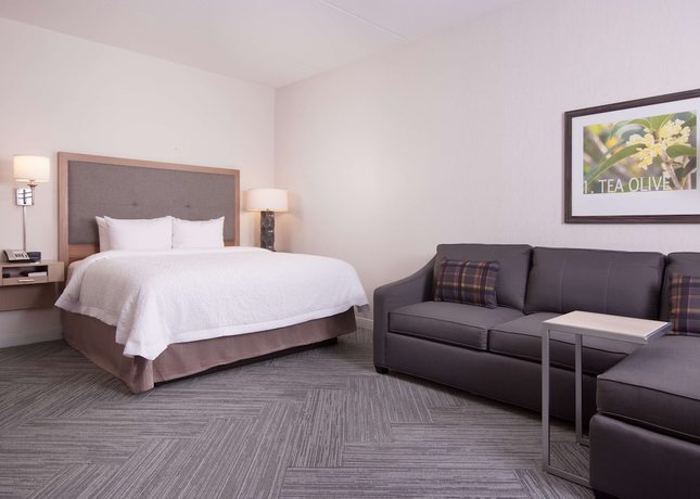 Imagen de la habitación del Hotel Hampton Inn And Suites By Hilton Augusta-washington Rd. Foto 6