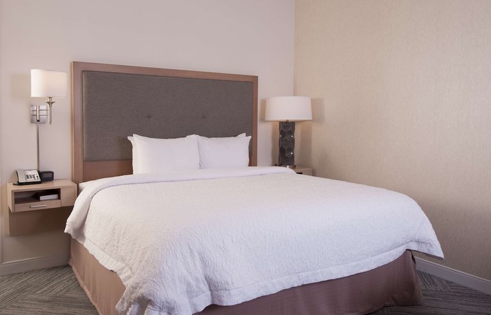 Imagen de la habitación del Hotel Hampton Inn And Suites By Hilton Augusta-washington Rd. Foto 9