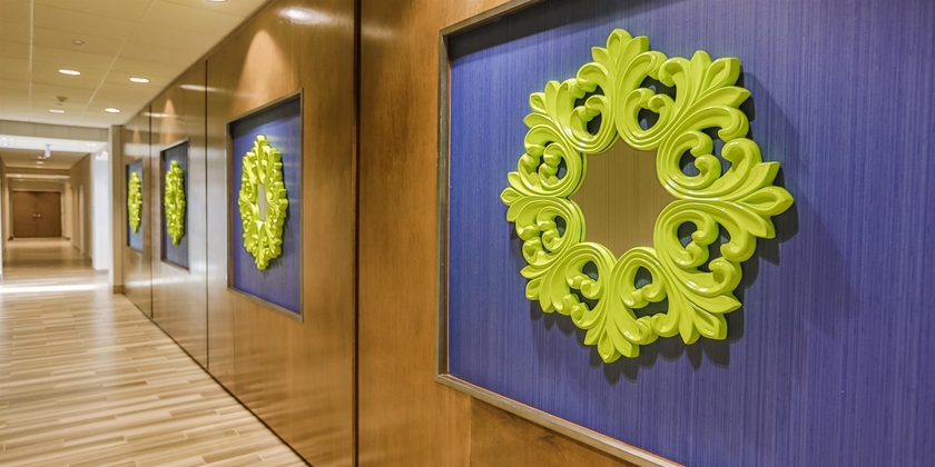 Imagen de los interiores del Hotel Hampton Inn And Suites Charlotte/ballantyne. Foto 18