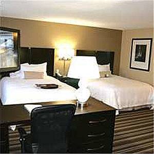 Imagen de la habitación del Hotel Hampton Inn And Suites Flint/grand Blanc. Foto 1