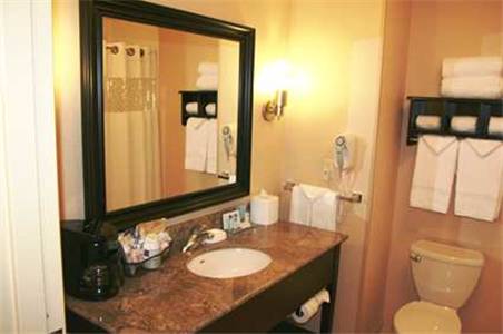 Imagen de la habitación del Hotel Hampton Inn And Suites Flint/grand Blanc. Foto 6