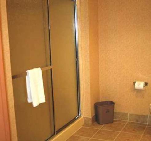 Imagen de la habitación del Hotel Hampton Inn And Suites Lamar. Foto 2