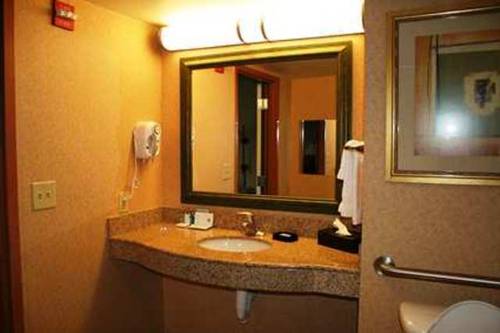 Imagen de la habitación del Hotel Hampton Inn And Suites Lamar. Foto 8