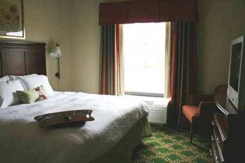 Imagen de la habitación del Hotel Hampton Inn And Suites Lamar. Foto 9