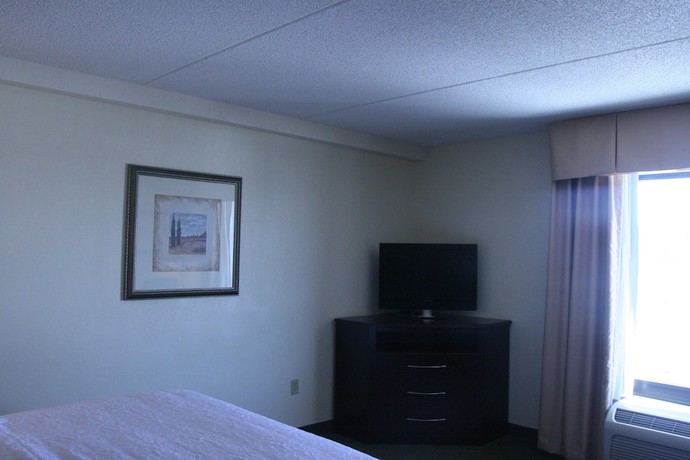 Imagen de la habitación del Hotel Hampton Inn And Suites Lino Lakes. Foto 7