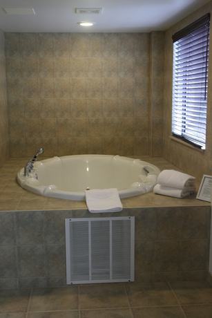 Imagen de la habitación del Hotel Hampton Inn And Suites Lino Lakes. Foto 9