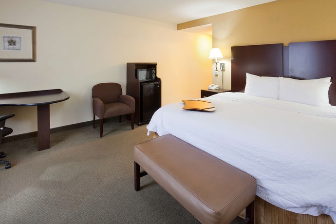 Imagen de la habitación del Hotel Hampton Inn And Suites Lino Lakes. Foto 15
