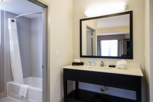 Imagen de la habitación del Hotel Hampton Inn And Suites Roanoke Airport/valley View. Foto 5