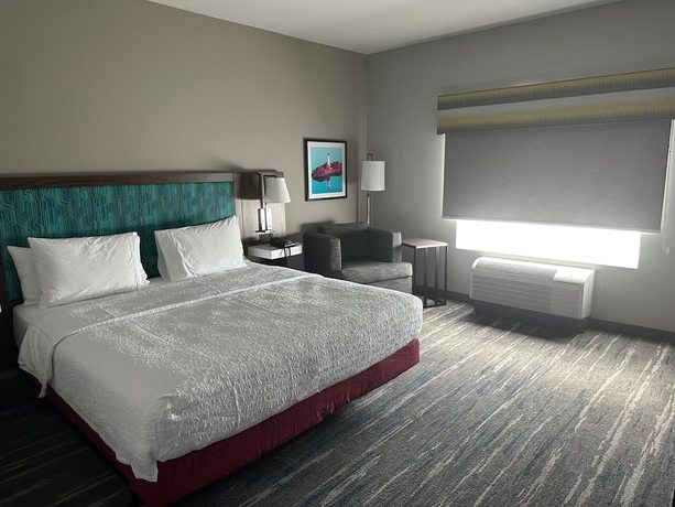 Imagen de la habitación del Hotel Hampton Inn And Suites Ruskin I-75. Foto 9
