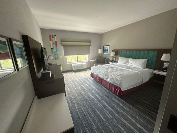 Imagen de la habitación del Hotel Hampton Inn And Suites Ruskin I-75. Foto 10