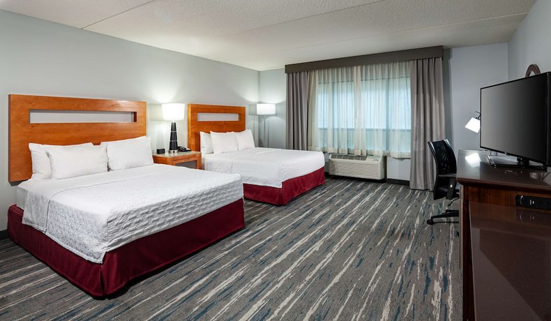 Imagen de la habitación del Hotel Hampton Inn And Suites St. Louis At Forest Park. Foto 4