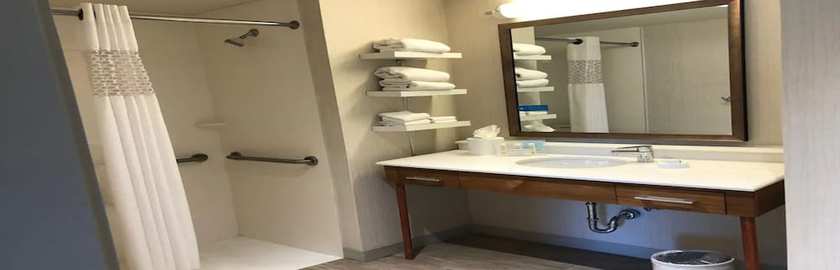Imagen de la habitación del Hotel Hampton Inn And Suites Tampa Busch Gardens Area. Foto 5