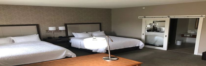 Imagen de la habitación del Hotel Hampton Inn And Suites Tampa Busch Gardens Area. Foto 8