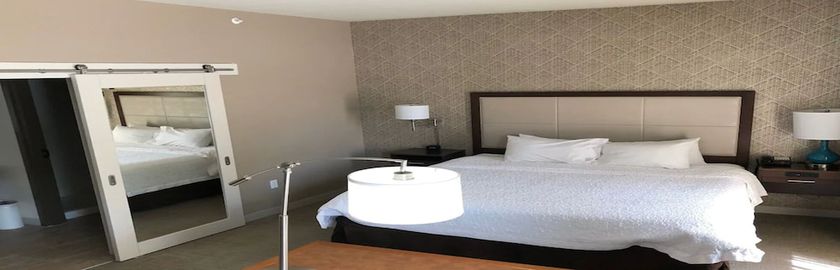 Imagen de la habitación del Hotel Hampton Inn And Suites Tampa Busch Gardens Area. Foto 11
